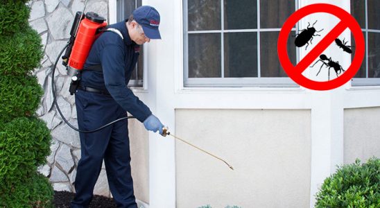 Borçka Bit İlaçlama böcek ilaçlama ve haşere kontrolü — ilaclama-tr.com
